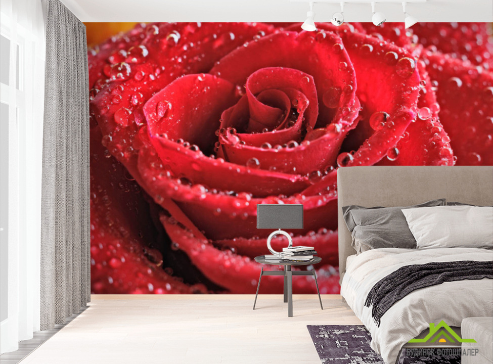 выбрать Фотошпалери Бутон червоної троянди Фотошпалери Квіти на стіну