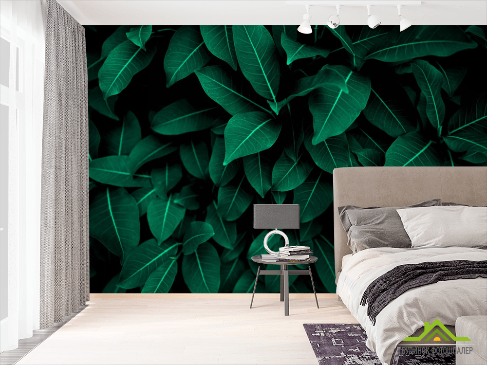 Фотошпалери зелене листя