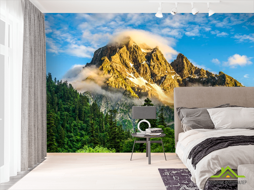 Фотообои горы в лесу