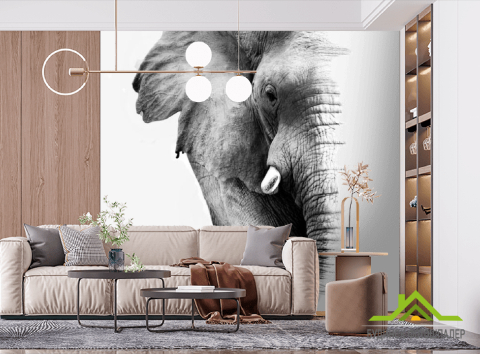 выбрать Фотошпалери Слон Фотошпалери Слони на стіну