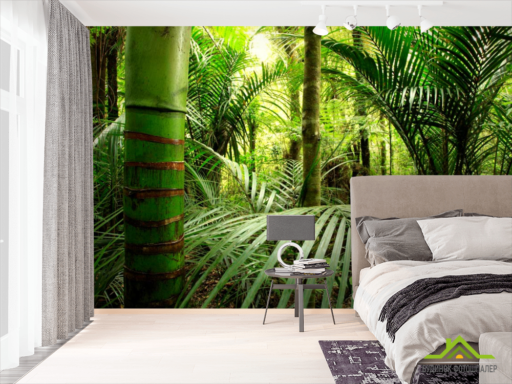 Фотообои Бамбук, листья
