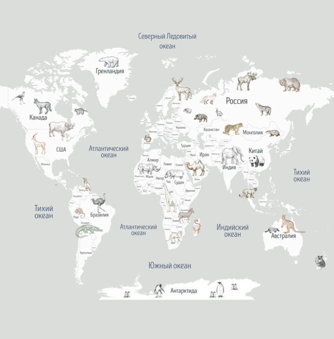 Фотообои Карта в детскую