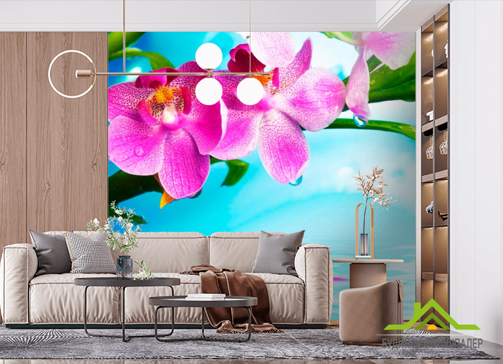 Фотообои Орхидея