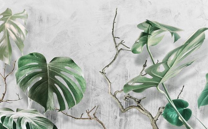 Фотошпалери Листя Монстери