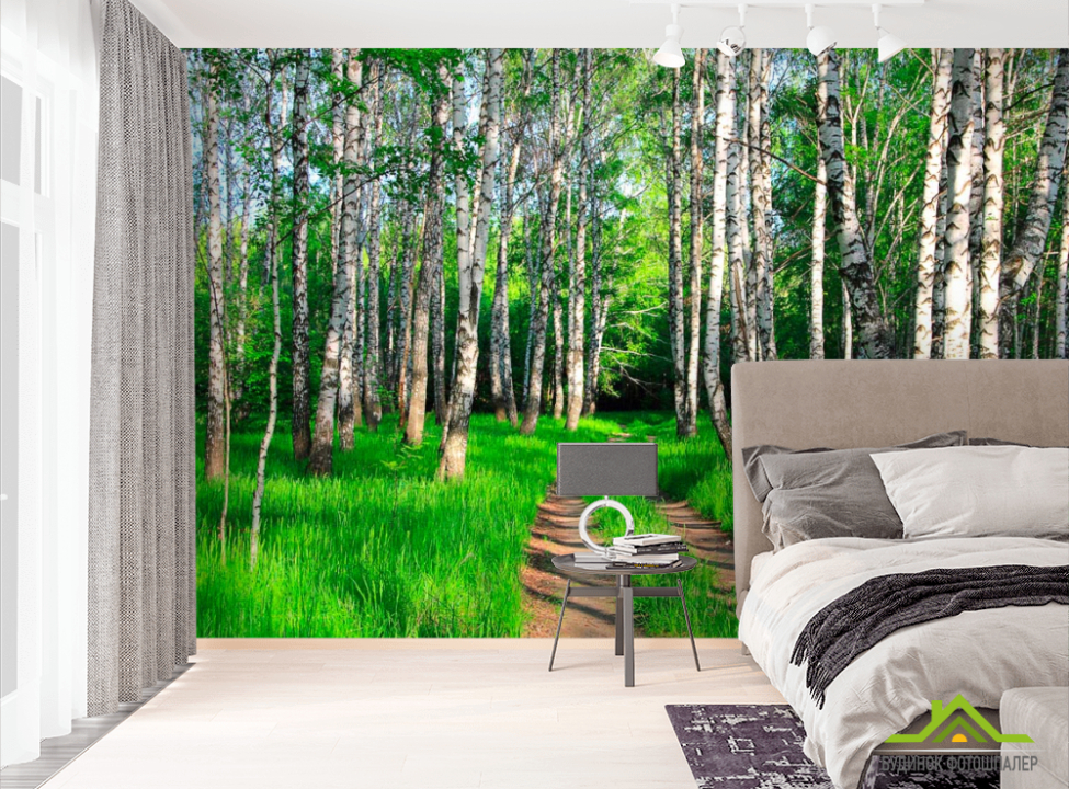 выбрать Фотообои Дорога, березки, лес Фотообои лес на стену