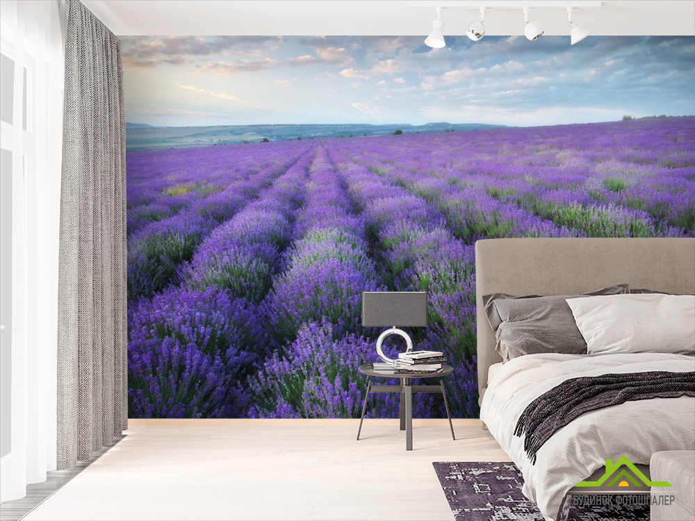 Фотообои лавандавое поле