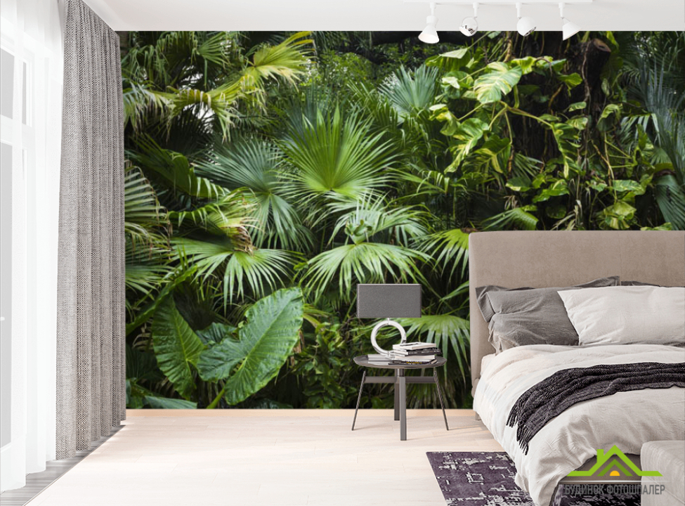 выбрать Фотошпалери тропічні листя  на стіну