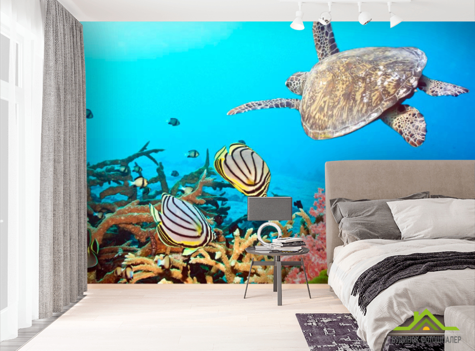 выбрать Фотошпалери Черепашка і рибки Фотошпалери Риби і море на стіну