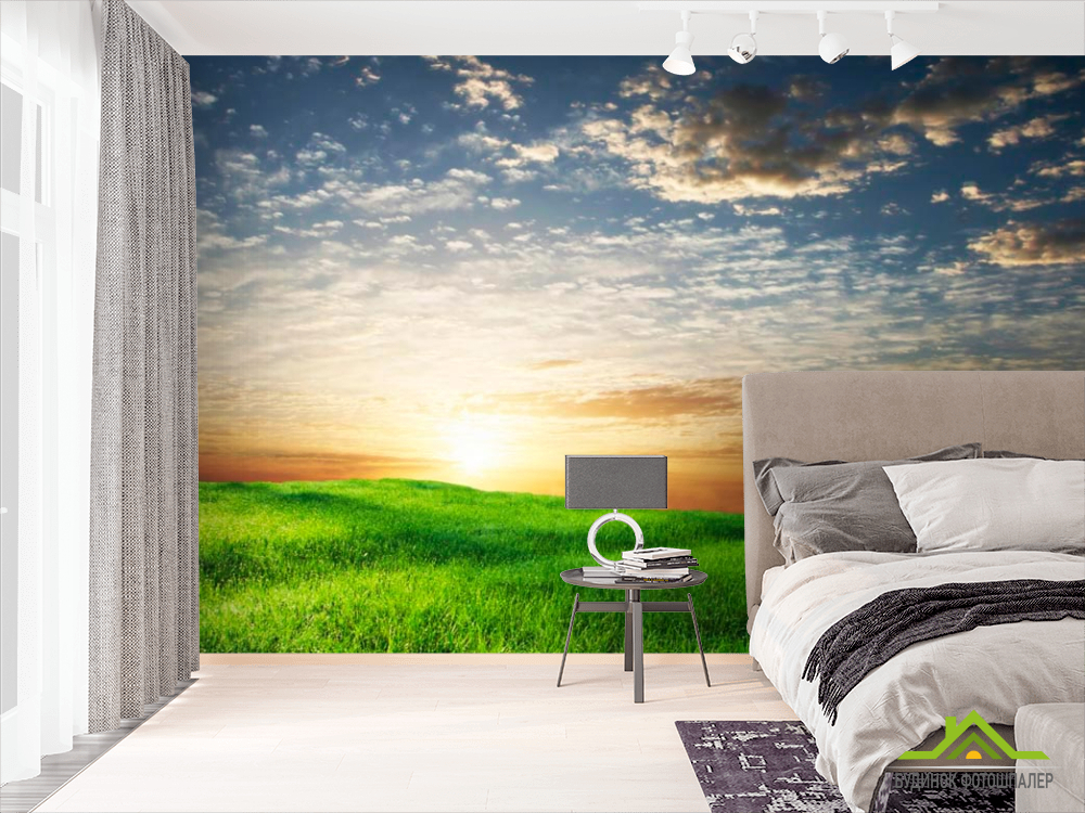 Фотообои Трава, небо