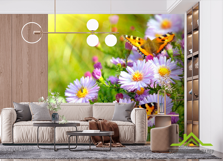 Фотошпалери Метелики в кольорах