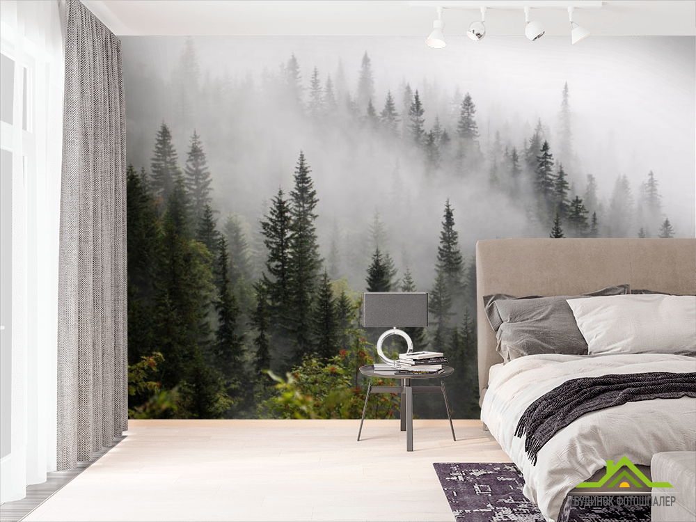 Фотошпалери Туманний ліс