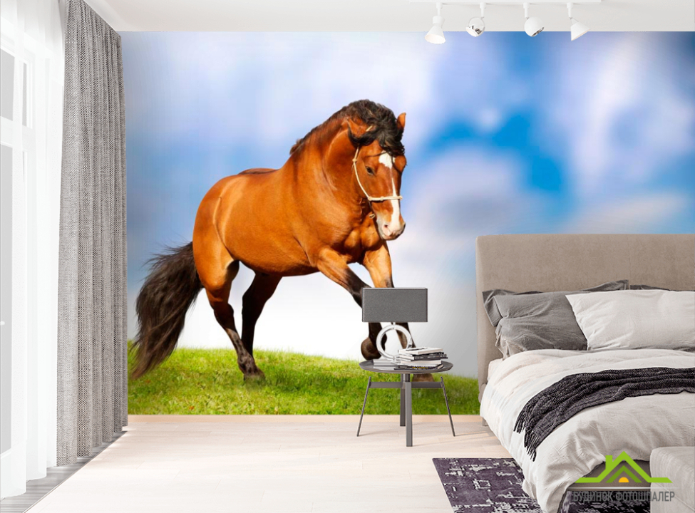 выбрать Фотообои Гарцующий конь Фотообои Лошади на стену