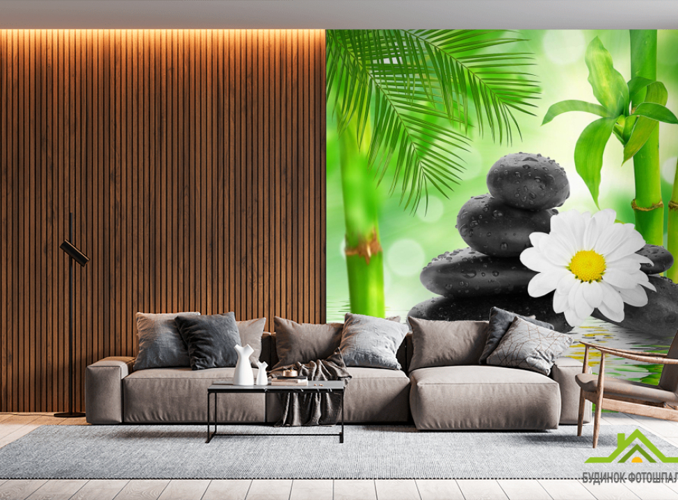 выбрать Фотошпалери ромашка на каменях Фотошпалери Природа на стіну