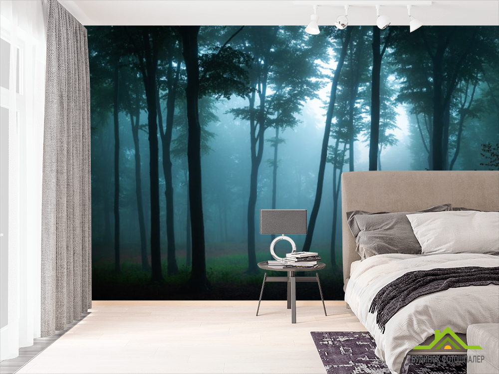 Фотошпалери ліс, туман