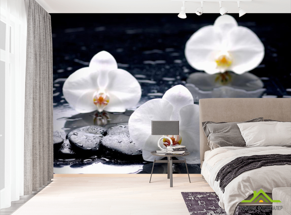 выбрать Фотообои Орхидеи на черных камнях Фотообои Цветы на стену