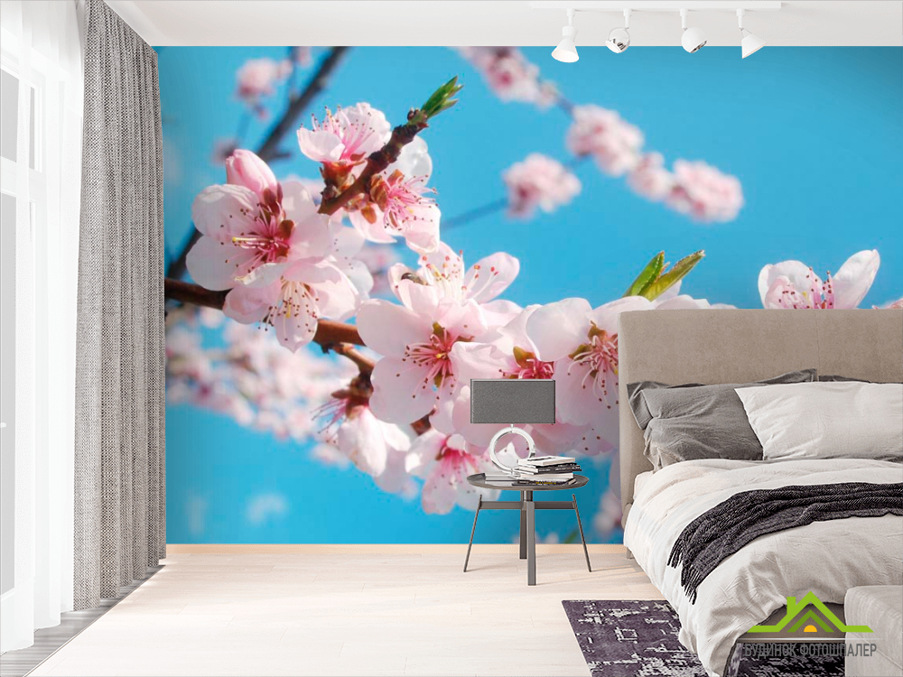 Фотошпалери Квіти персика
