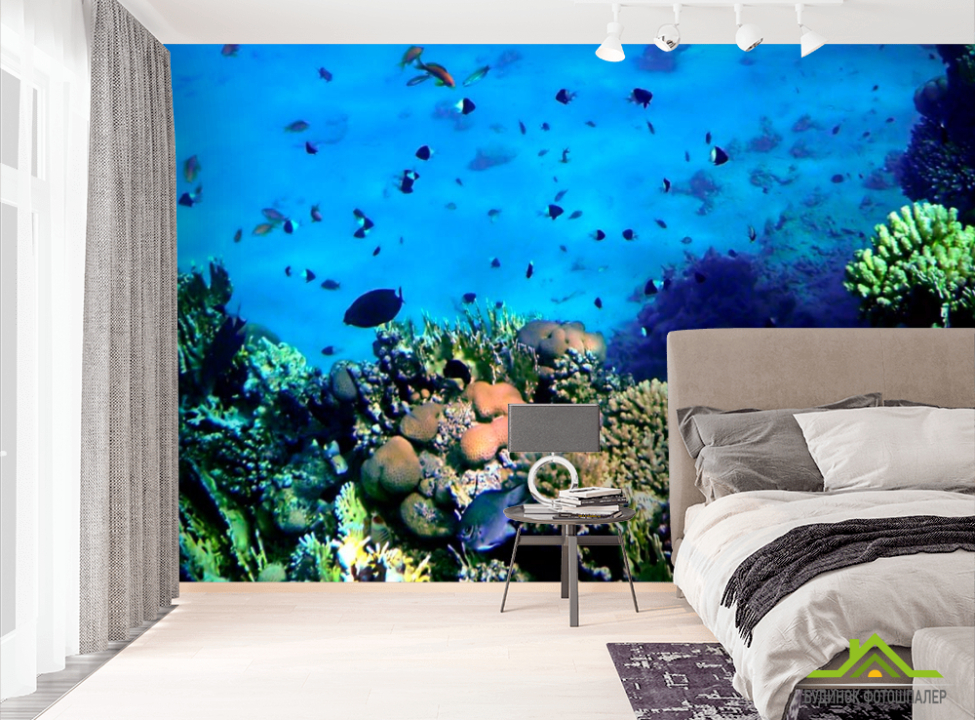 выбрать Фотошпалери Краса підводного світу Фотошпалери Риби і море на стіну
