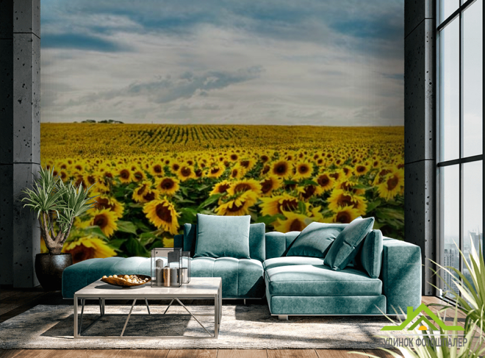 выбрать Фотообои большое поле подсолнухов Фотообои подсолнухи на стену