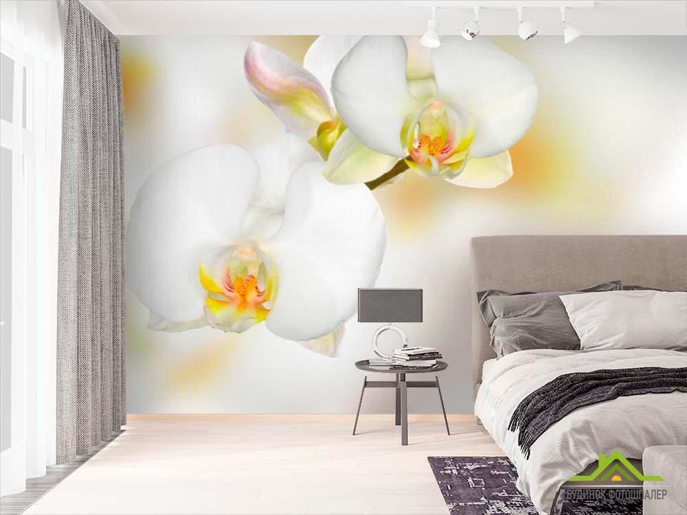 Фотообои Орхидеи белые с желтым
