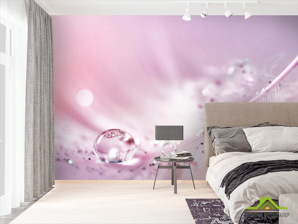 Фотошпалери Перо з росою на рожевому тлі