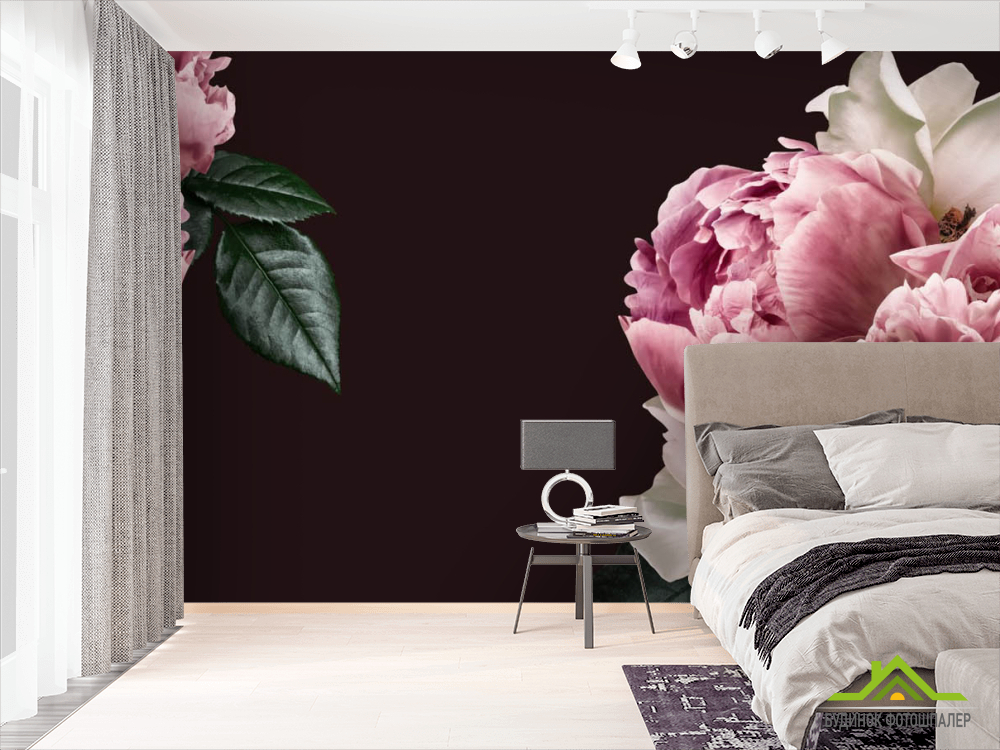 Фотообои Розовые пионы