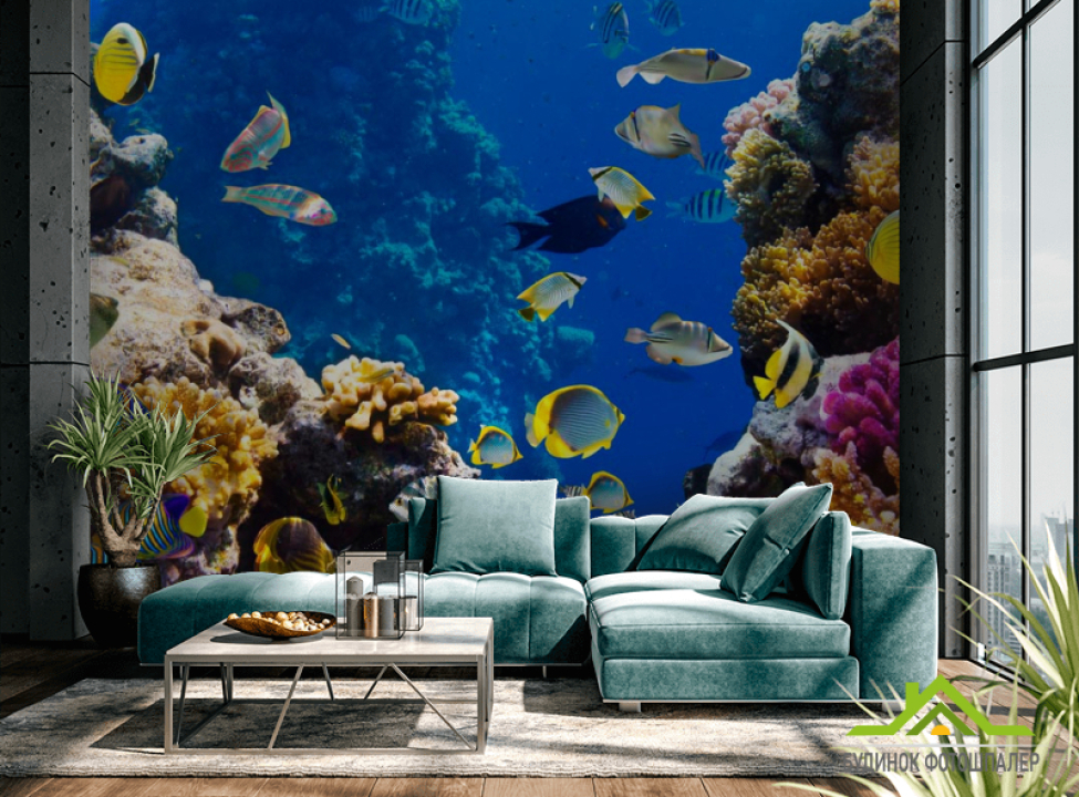 выбрать Фотошпалери Смугасті рибки Фотошпалери Риби і море на стіну