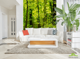 5 идей использования 3д фотообоев в современных интерьерах