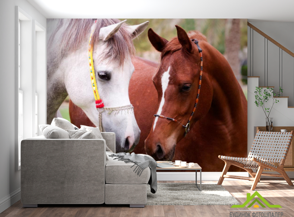 выбрать Фотообои Пара коней Фотообои Лошади на стену