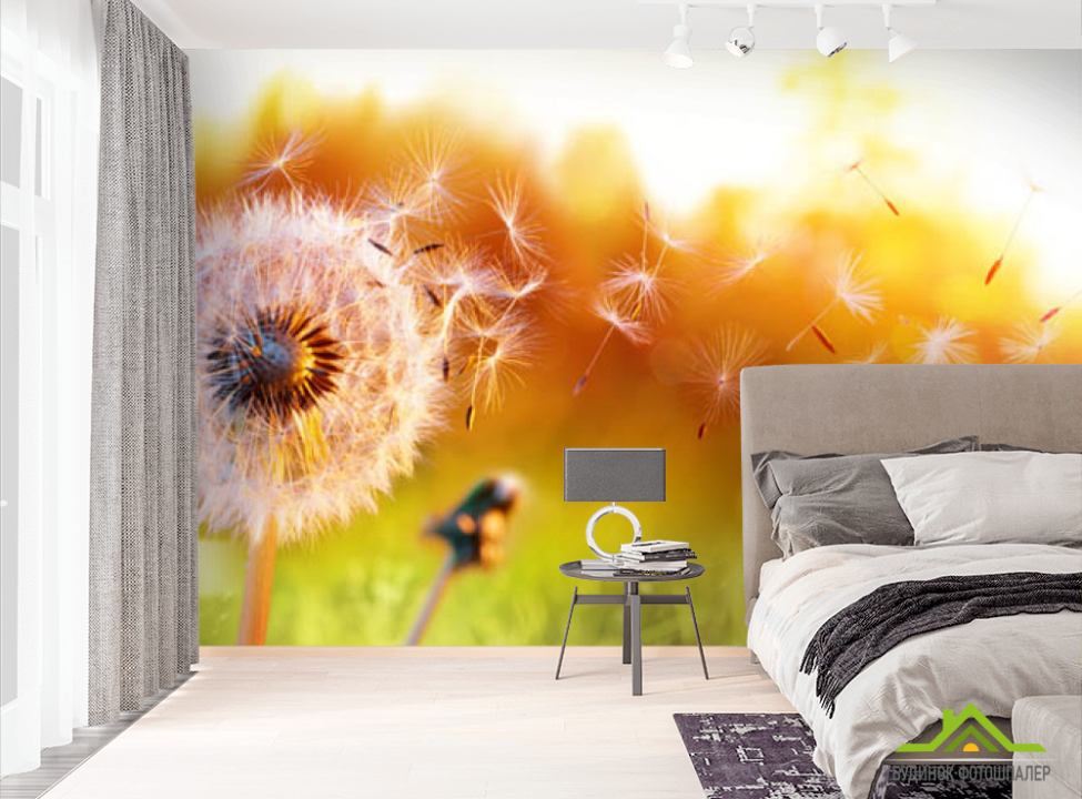 выбрать Фотошпалери кульбаба в полі Фотошпалери різні на стіну