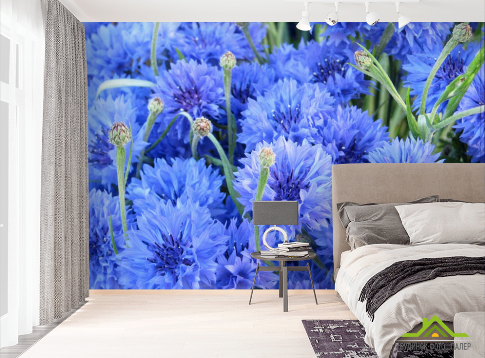 выбрать Фотообои Голубые васильки Фотообои Цветы на стену