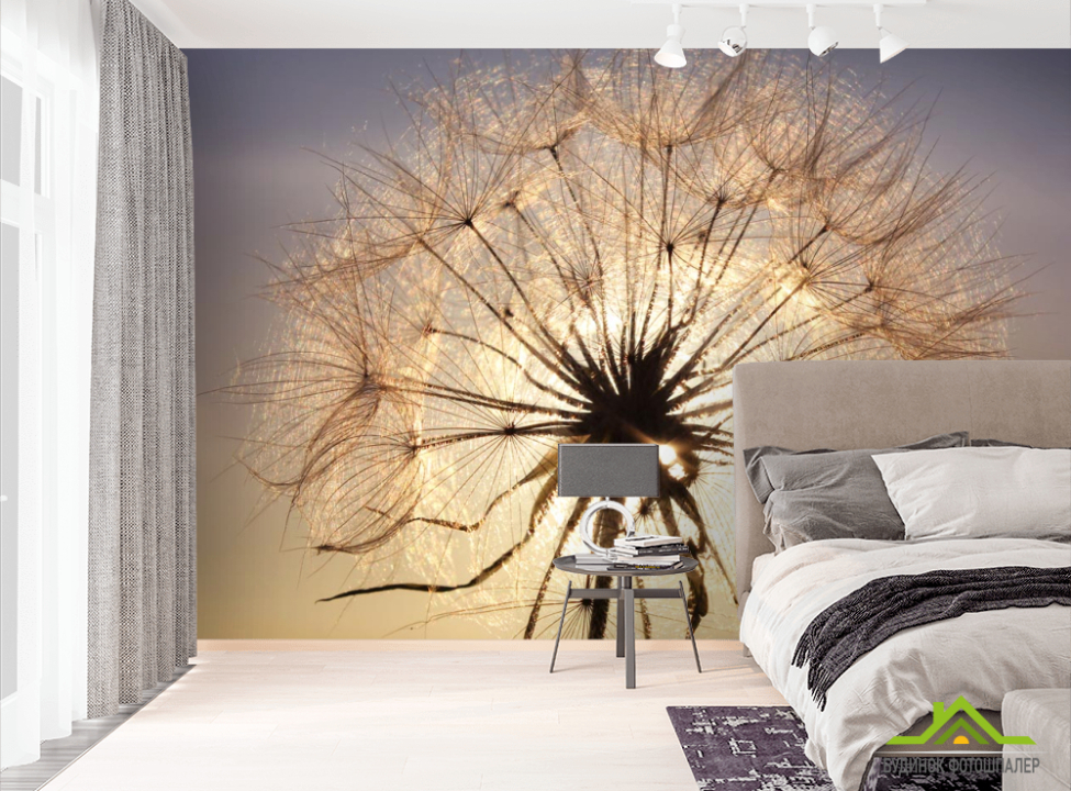 выбрать Фотообои одуванчик на солнце Фотообои Одуванчики на стену