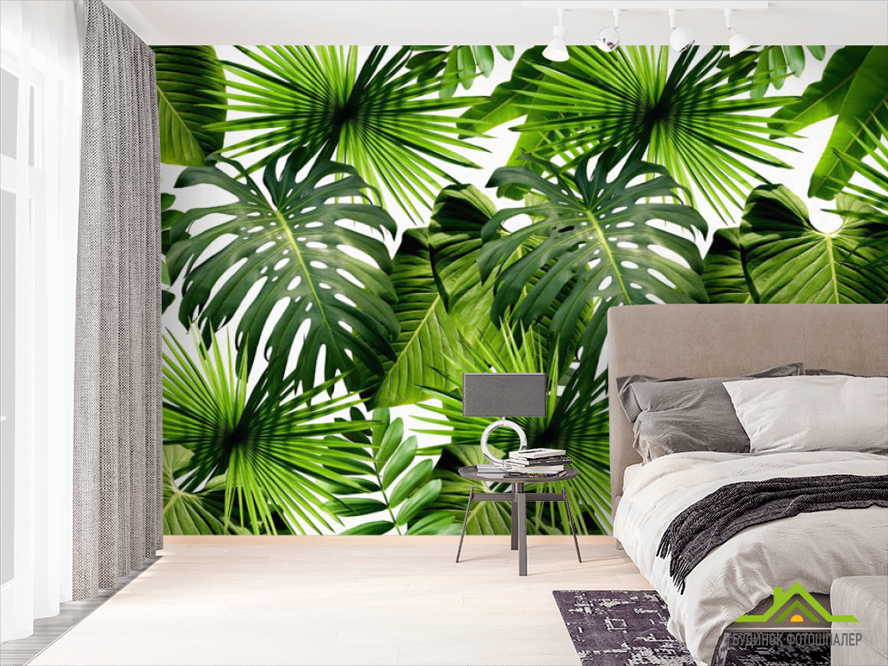 Фотообои тропические листья