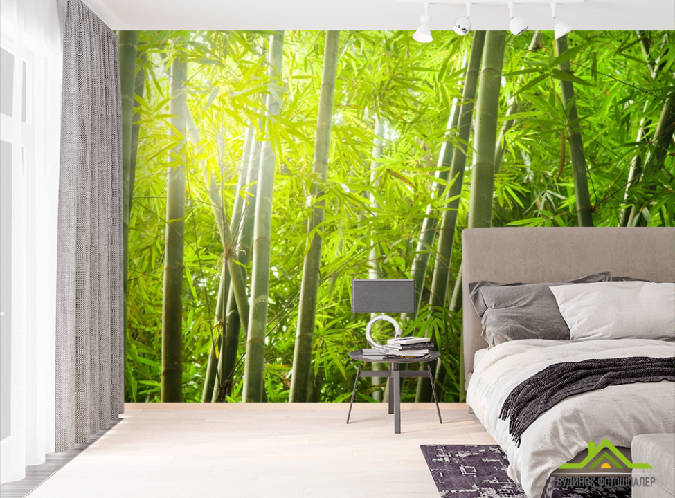 выбрать Фотошпалери бамбуковий ліс Фотошпалери Природа на стіну