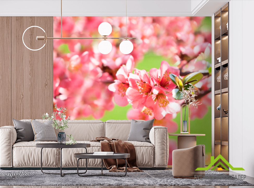 выбрать Фотошпалери Квітуча Вишня навесні Фотошпалери Вишня на стіну