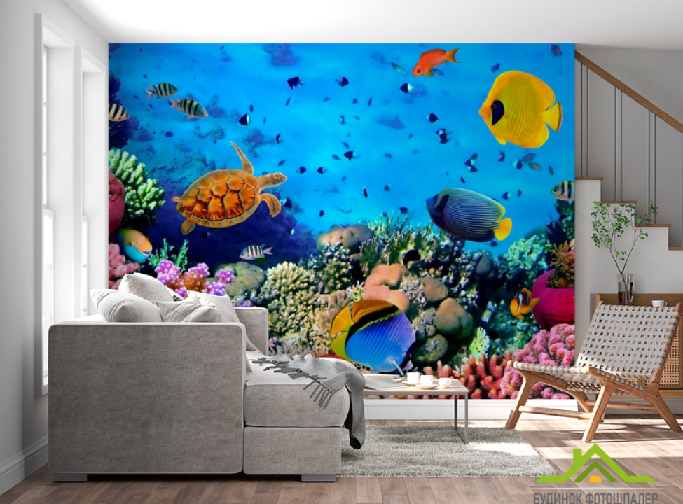 выбрать Фотообои Черепахи и риф Фотообои Рыбы и море на стену