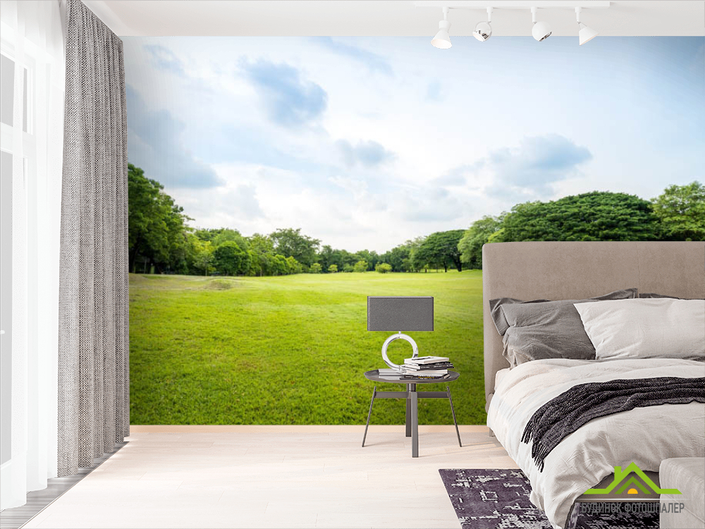 Фотошпалери поляна