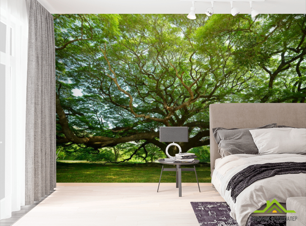 выбрать Фотошпалери величезне дерево Фотошпалери різні на стіну