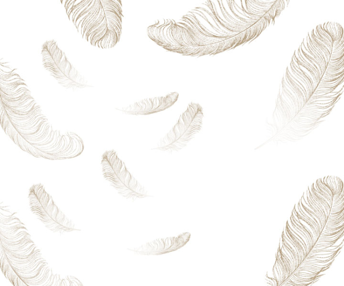 Фотошпалери Золоте перо