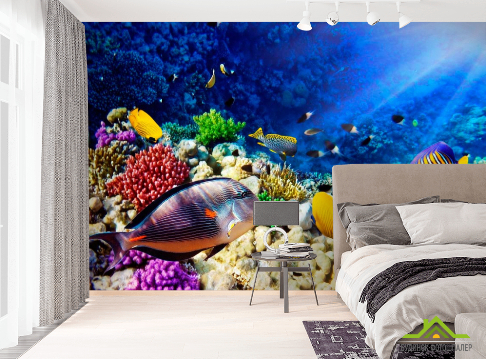 выбрать Фотошпалери Риби в глибині Фотошпалери Риби і море на стіну