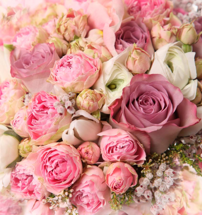 Фотошпалери Квіти