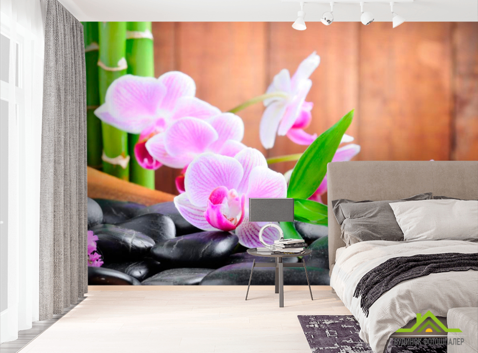 выбрать Фотошпалери Блідо-рожеві орхідеї Фотошпалери Орхідеї на стіну