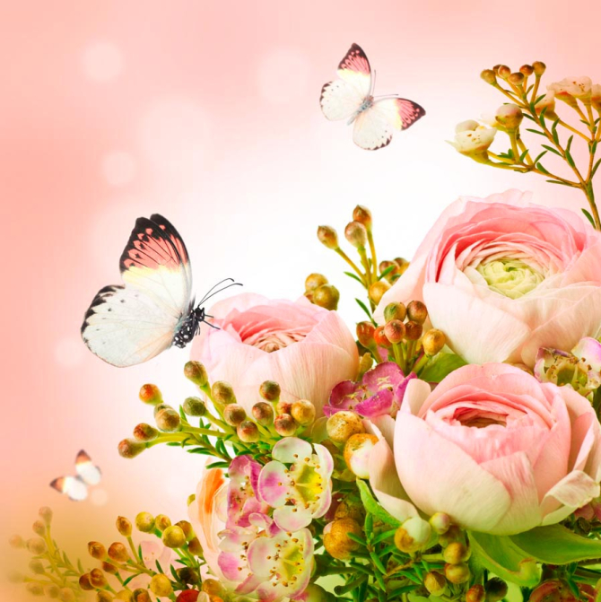 Фотообои Пионы