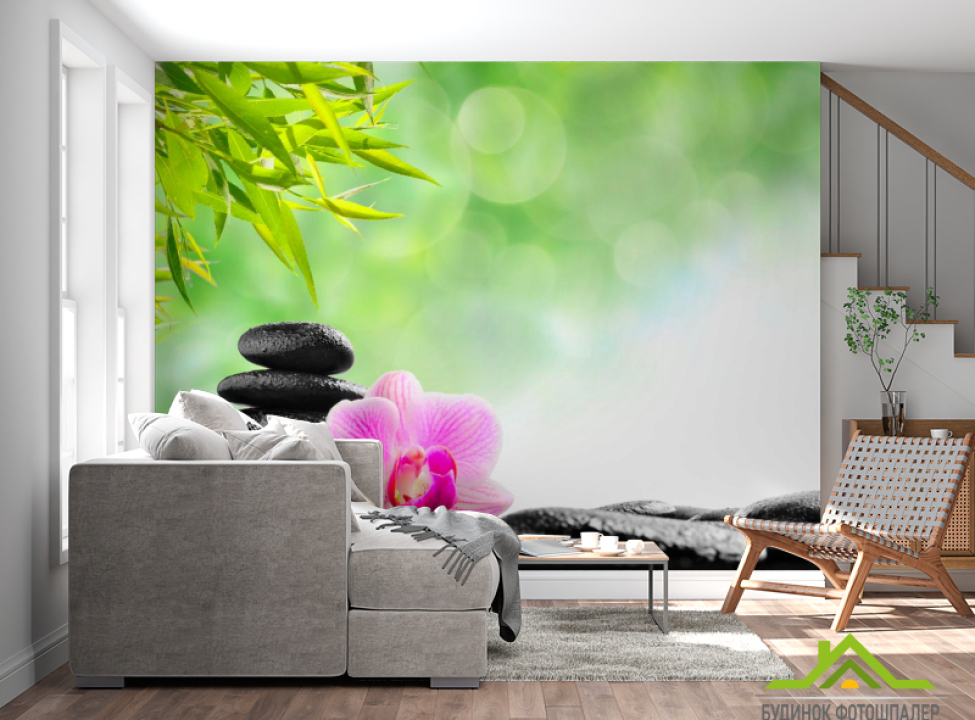 выбрать Фотообои Орхидея, зелень, камни Фотообои Орхидеи на стену