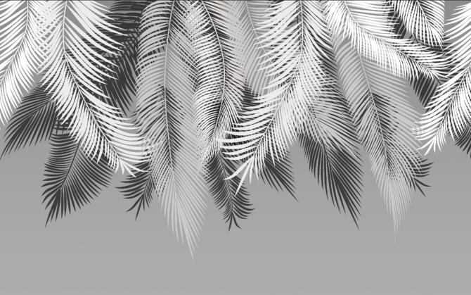 Фотообои серые листья на стену