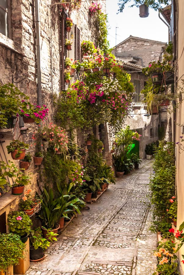 Фотошпалери Зелена вулиця