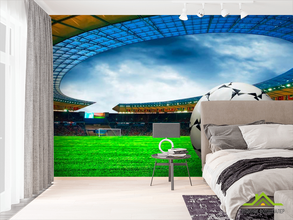 Фотообои Арена перед игрой