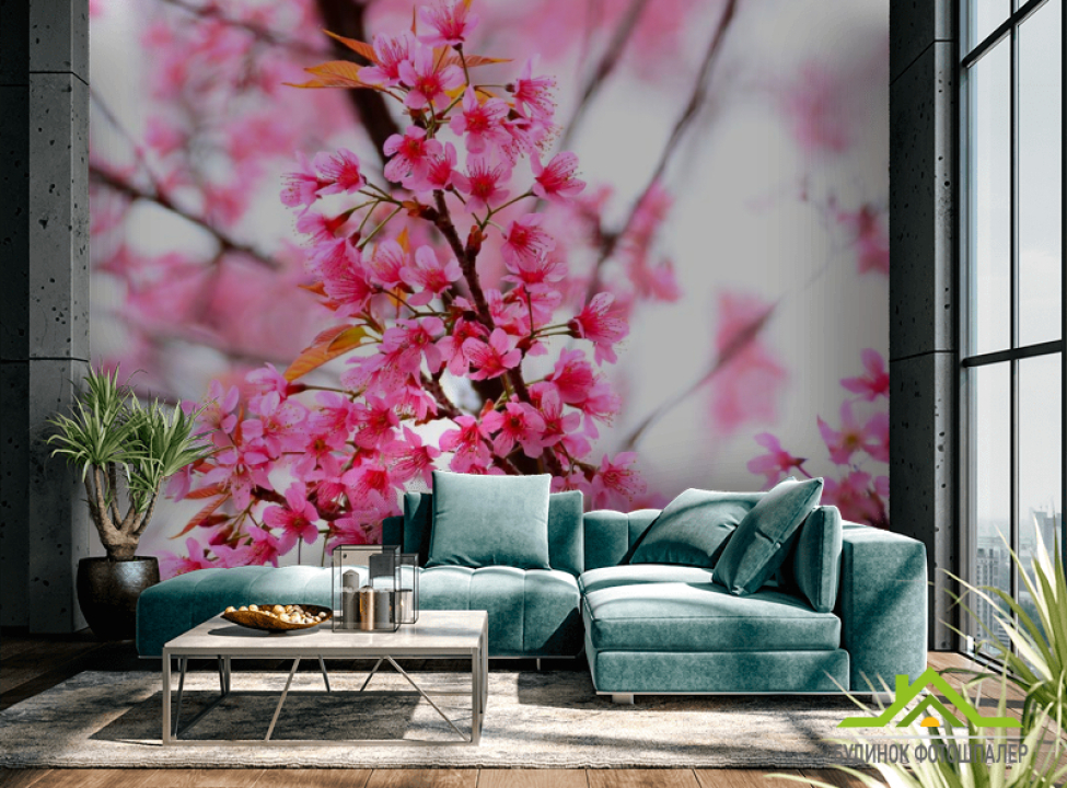 выбрать Фотообои Цветущее розовое дерево Фотообои Цветы на стену