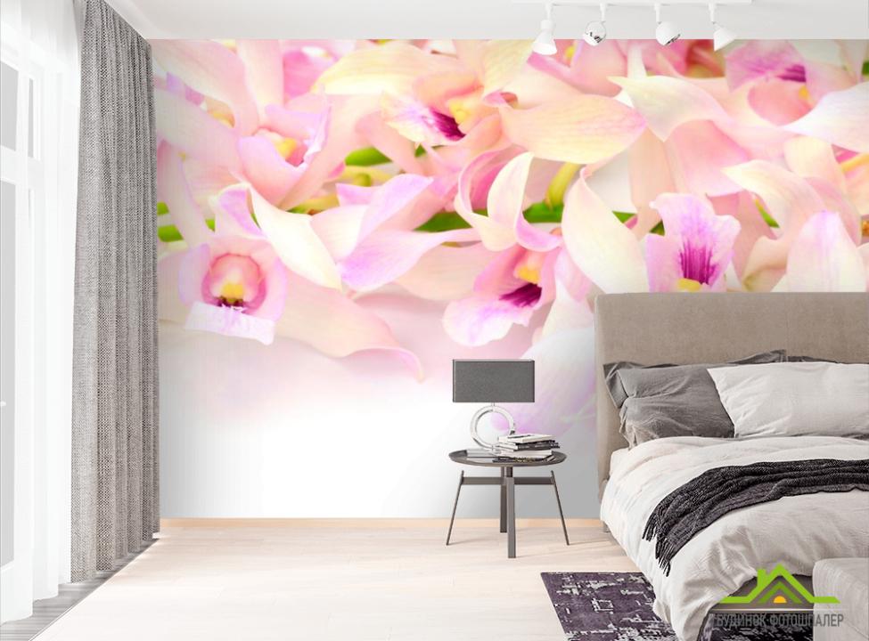 выбрать Фотообои Нежно-розовые орхидеи Фотообои Орхидеи на стену