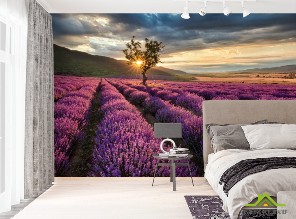 выбрать Фотошпалери лавандове поле Фотошпалери Природа на стіну