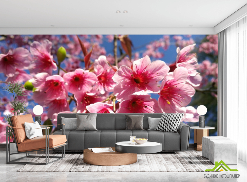 выбрать Фотообои сакура Фотообои Цветы на стену